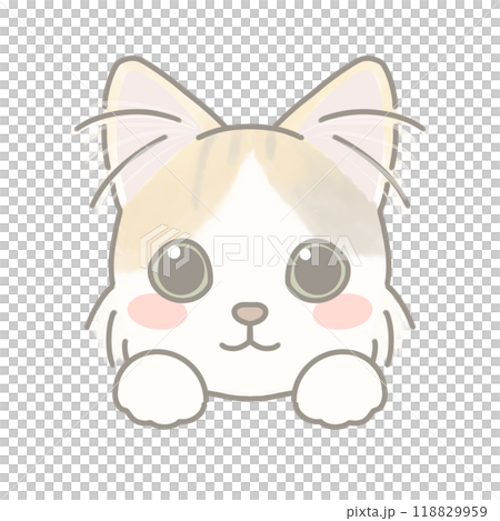 長毛種の猫　イラスト 118829959