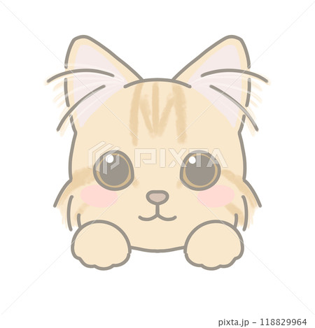 長毛種の猫 イラスト 長毛種の猫 イラスト 118829964