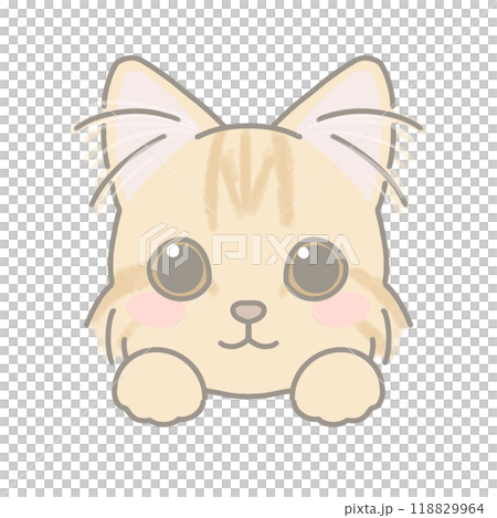 Long-haired cat illustration Long-haired cat illustration 118829964