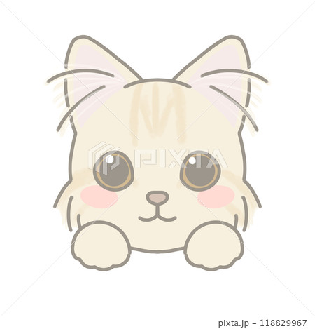 長毛種の猫　イラスト 118829967