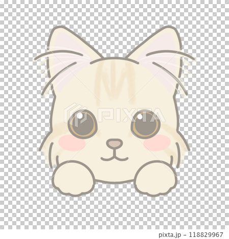 長毛種の猫　イラスト 118829967