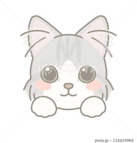 長毛種の猫 イラスト 長毛種の猫 イラスト 118829968