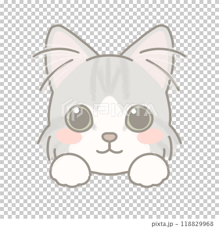 長毛種の猫 イラスト 長毛種の猫 イラスト 118829968