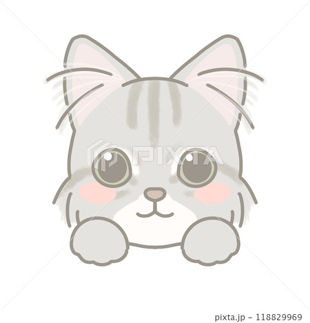 長毛種の猫　イラスト 118829969