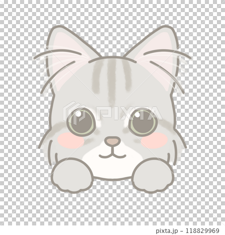 長毛種の猫　イラスト 118829969