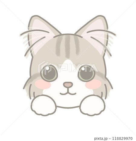 長毛種の猫　イラスト 118829970