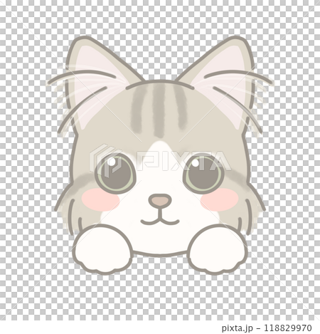 長毛種の猫　イラスト 118829970