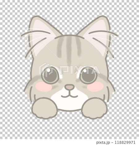 Long-haired cat illustration Long-haired cat illustration 118829971