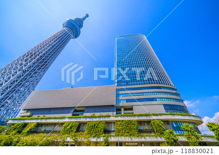 日本の東京都市景観 緑に映える東京スカイツリーやソラマチなどを望む＝令和6年9月6日 118830021