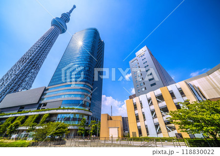 日本の東京都市景観 緑に映える東京スカイツリーやソラマチなどを望む＝令和6年9月6日 118830022