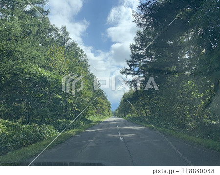 木々に囲まれた道路 木々に囲まれた道路 118830038
