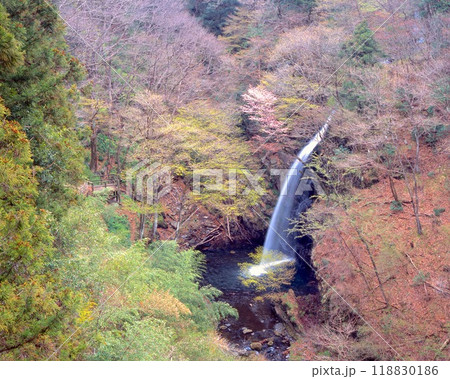 柱戸の不動滝/新緑/落差25m /群馬県みどり市東町座間 柱戸の不動滝/新緑/落差25m /群馬県みどり市東町座間 118830186