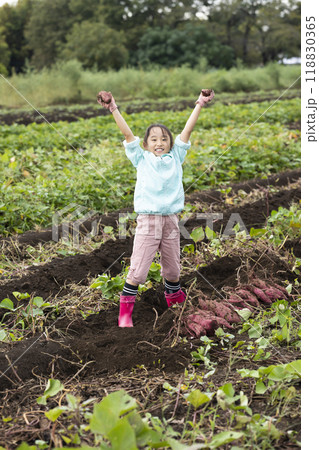 さつま芋堀りをする女の子 さつま芋堀りをする女の子 118830365