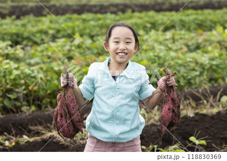 さつま芋堀りをする女の子 118830369