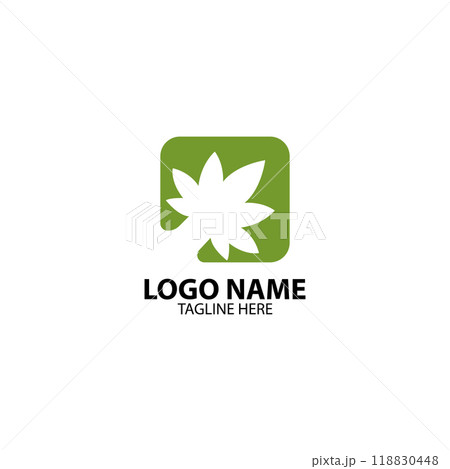 Minimalistic marijuana leaves logo design vector Minimalistic marijuana leaves logo design vector 118830448