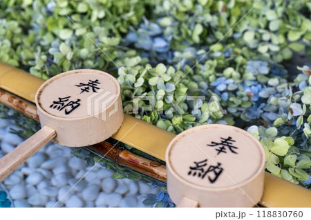 秋の土津神社　手水舎　福島県猪苗代町 118830760