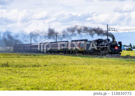 収穫間際の稲穂とSLばんえつ物語　福島県会津若松市 118830772
