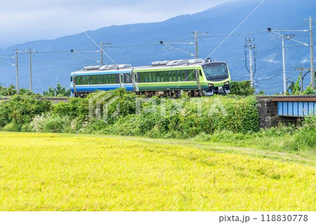 秋の稲穂と磐越西線の列車　福島県猪苗代町 118830778