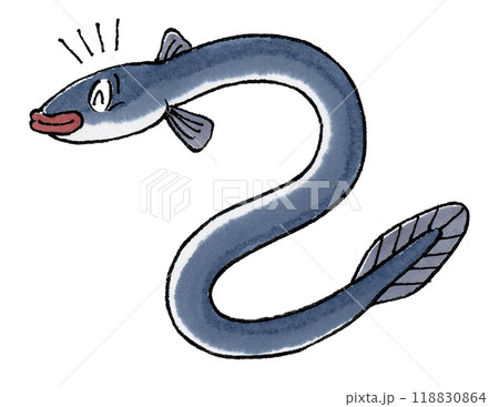 喜ぶウナギ 喜ぶウナギ 118830864