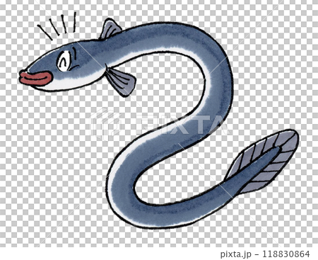 喜ぶウナギ 喜ぶウナギ 118830864