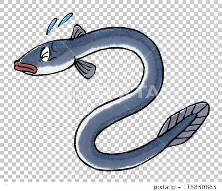 鰻魚有麻煩了 118830865