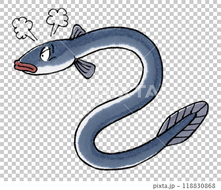 憤怒的鰻魚 118830868