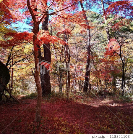 昇仙峡　紅葉　秋の景色 118831108