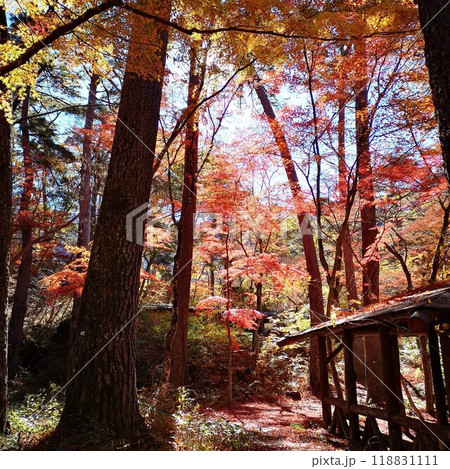 昇仙峡 紅葉 秋の景色 昇仙峡 紅葉 秋の景色 118831111