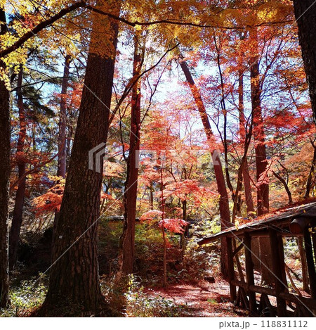 昇仙峡　紅葉　秋の景色 118831112