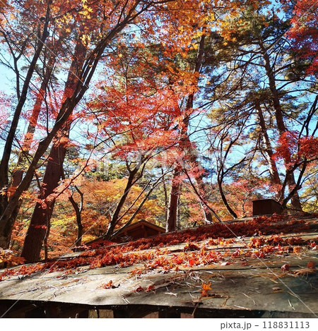 昇仙峡　紅葉　秋の景色 118831113