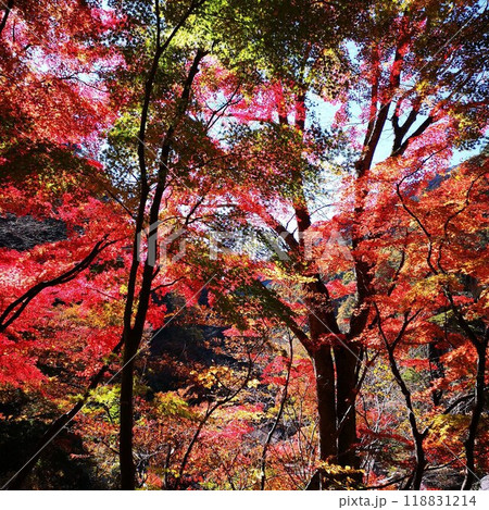 昇仙峡 紅葉 秋の景色 昇仙峡 紅葉 秋の景色 118831214