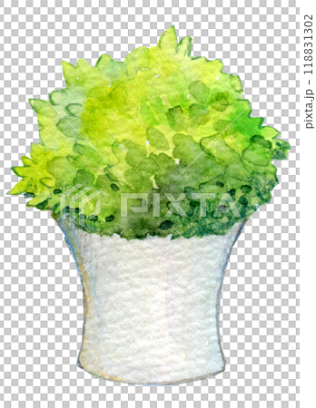 観葉植物　水彩イラスト 118831302