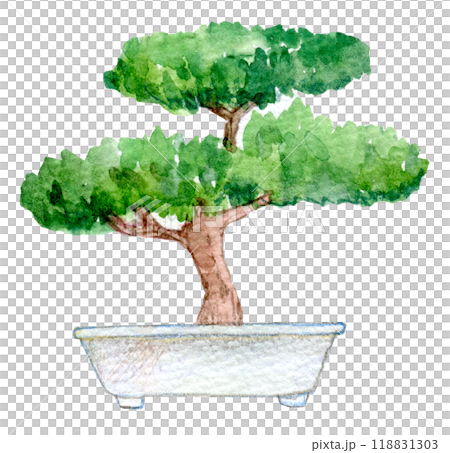 観葉植物　水彩イラスト 118831303