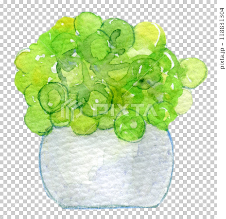 室內植物水彩插圖 118831304