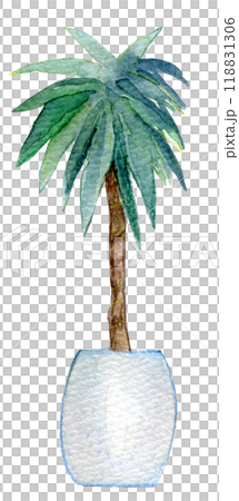 観葉植物 水彩イラスト 観葉植物 水彩イラスト 118831306