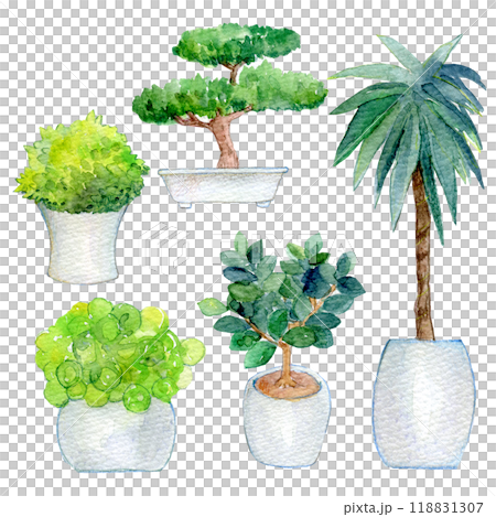 室內植物水彩插圖 室內植物水彩插圖 118831307