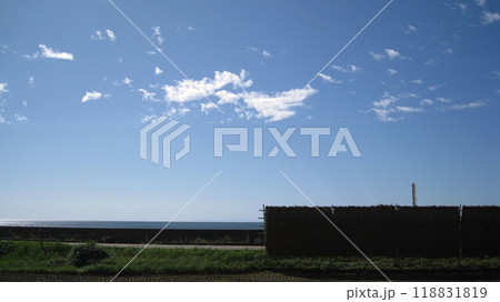 稲架掛け米と青空と日本海 稲架掛け米と青空と日本海 118831819