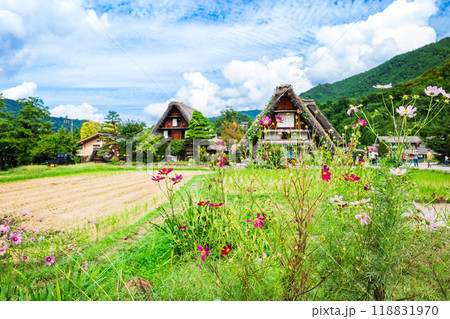 日本の原風景　秋の白川郷 118831970