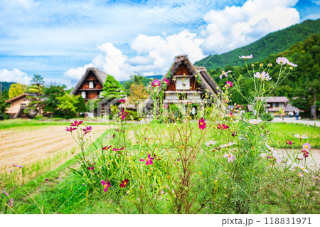 日本の原風景　秋の白川郷 118831971