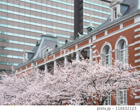 法務省旧本館に咲く満開の桜　　都市景観（2022年3月） 118832123