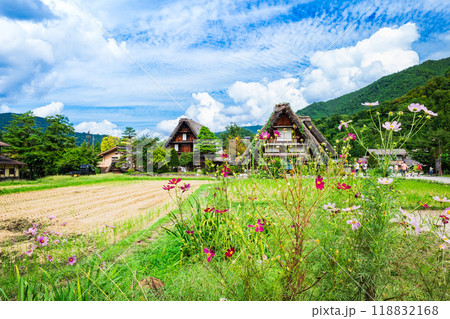 日本の原風景 秋の白川郷の写真素材 [118832168] - PIXTA