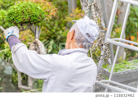 働く高齢者　地域社会に　貢献　庭木の剪定サービス 118832462