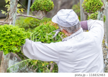 働く高齢者　地域社会に　貢献　庭木の剪定サービス 118832463