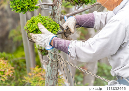 働く高齢者　地域社会に　貢献　庭木の剪定サービス 118832466