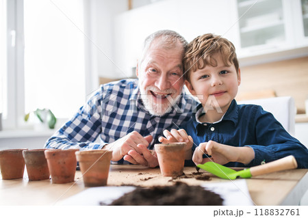 Grandfather and grandson planting seedlings. Vegetable seeds in the palm, planted into small terracotta pots. Grandfather and grandson planting seedlings. Vegetable seeds in the palm, planted into small terracotta pots. 118832761