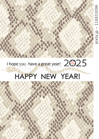 2025巳年　パイソン柄のイラスト年賀状 118833096