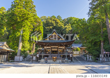 日牟禮八幡宮　拝殿と本殿（滋賀県近江八幡市） 118833149