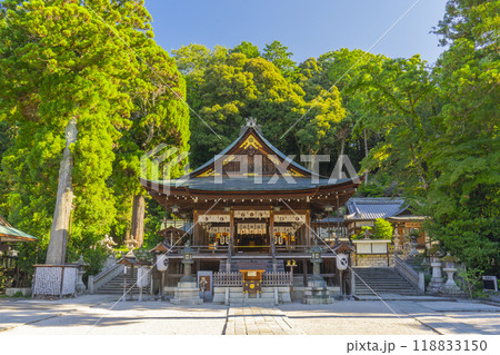 日牟禮八幡宮　拝殿と本殿（滋賀県近江八幡市） 118833150