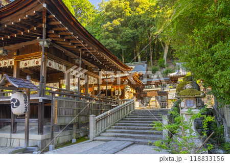 日牟禮八幡宮　拝殿と本殿（滋賀県近江八幡市） 118833156