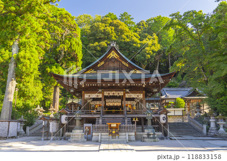 日牟禮八幡宮 拝殿と本殿(滋賀県近江八幡市) 日牟禮八幡宮 拝殿と本殿(滋賀県近江八幡市) 118833158